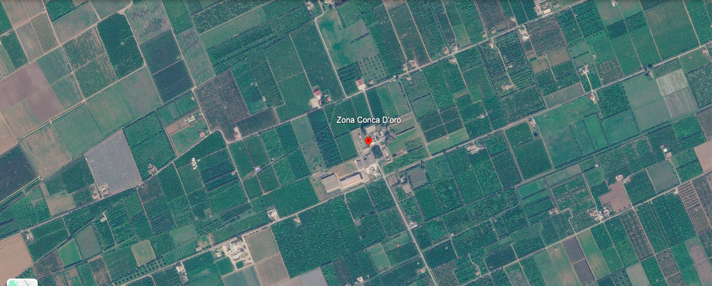 Caro fertilizzanti, 136 milioni di aiuti: cosa cambia per gli agricoltori di Palagiano?