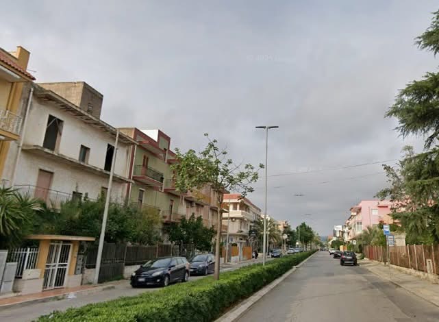 Viale Chiatona, verde pubblico e manutenzione: non basta sapere quanto spendiamo